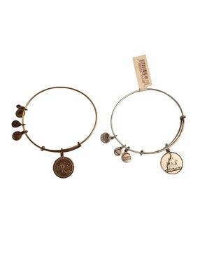 Collectable Alex and Ani Disney Parks Walt Disney World Castle Bangle Bracelets